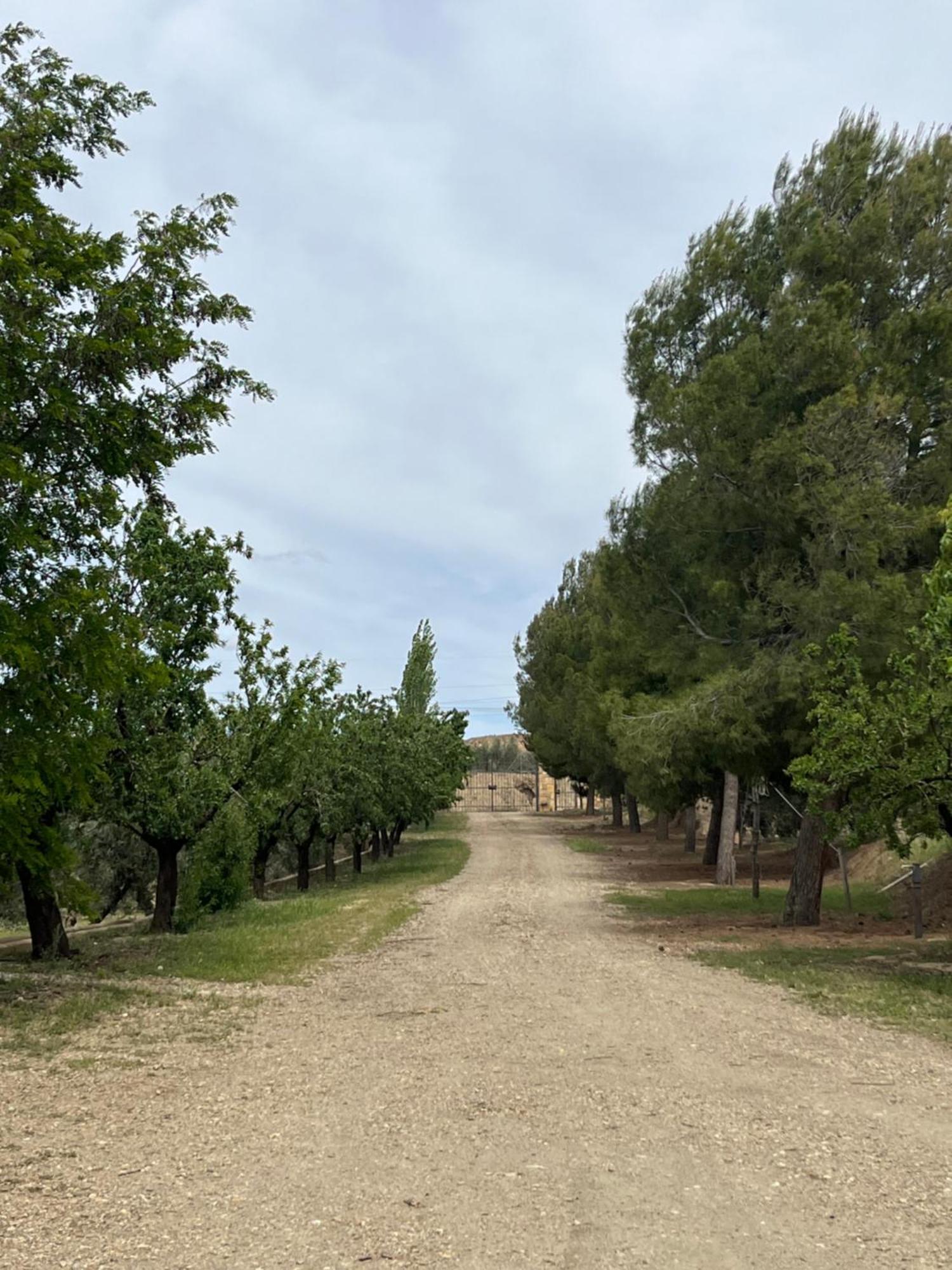 Cortijo Don Meliton Villa Guadix Exterior photo